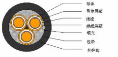 3*2.5，3*3，3*4，3*6，3*10，3*16，3*25屏蔽電纜結(jié)構(gòu)圖