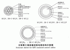 KYJV，KYJVP，KYJV22額定電壓0.6/1kV交聯(lián)聚乙烯絕緣控制電纜