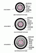 PTYA23、PTYA22鐵路鎧裝信號電纜